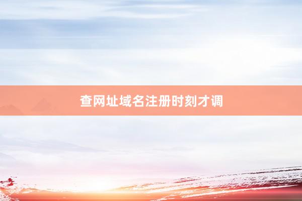 查网址域名注册时刻才调