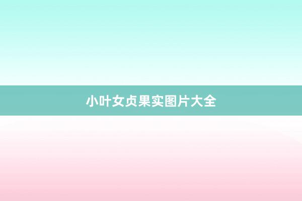 小叶女贞果实图片大全