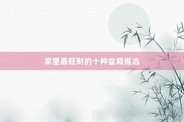 家里最旺财的十种盆栽推选