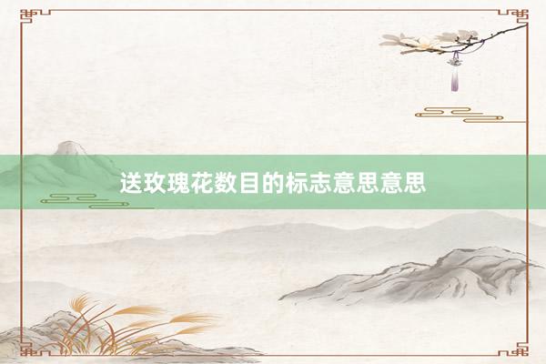 送玫瑰花数目的标志意思意思