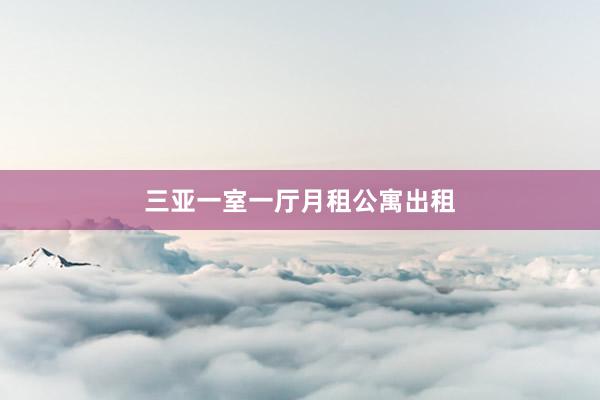 三亚一室一厅月租公寓出租