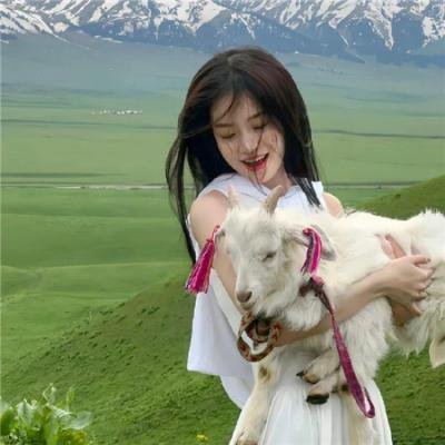 机动战士高达逆A