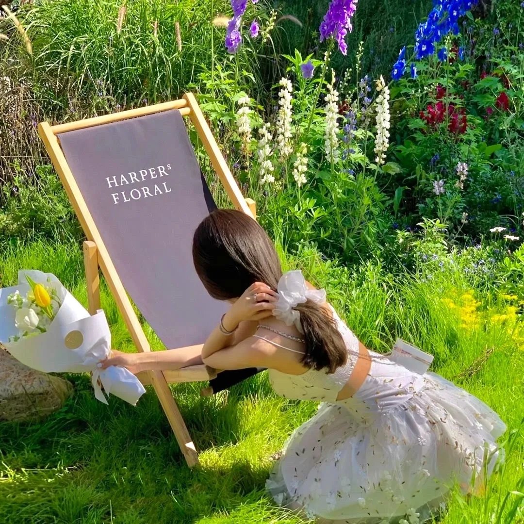 隐龙之绝世当铺